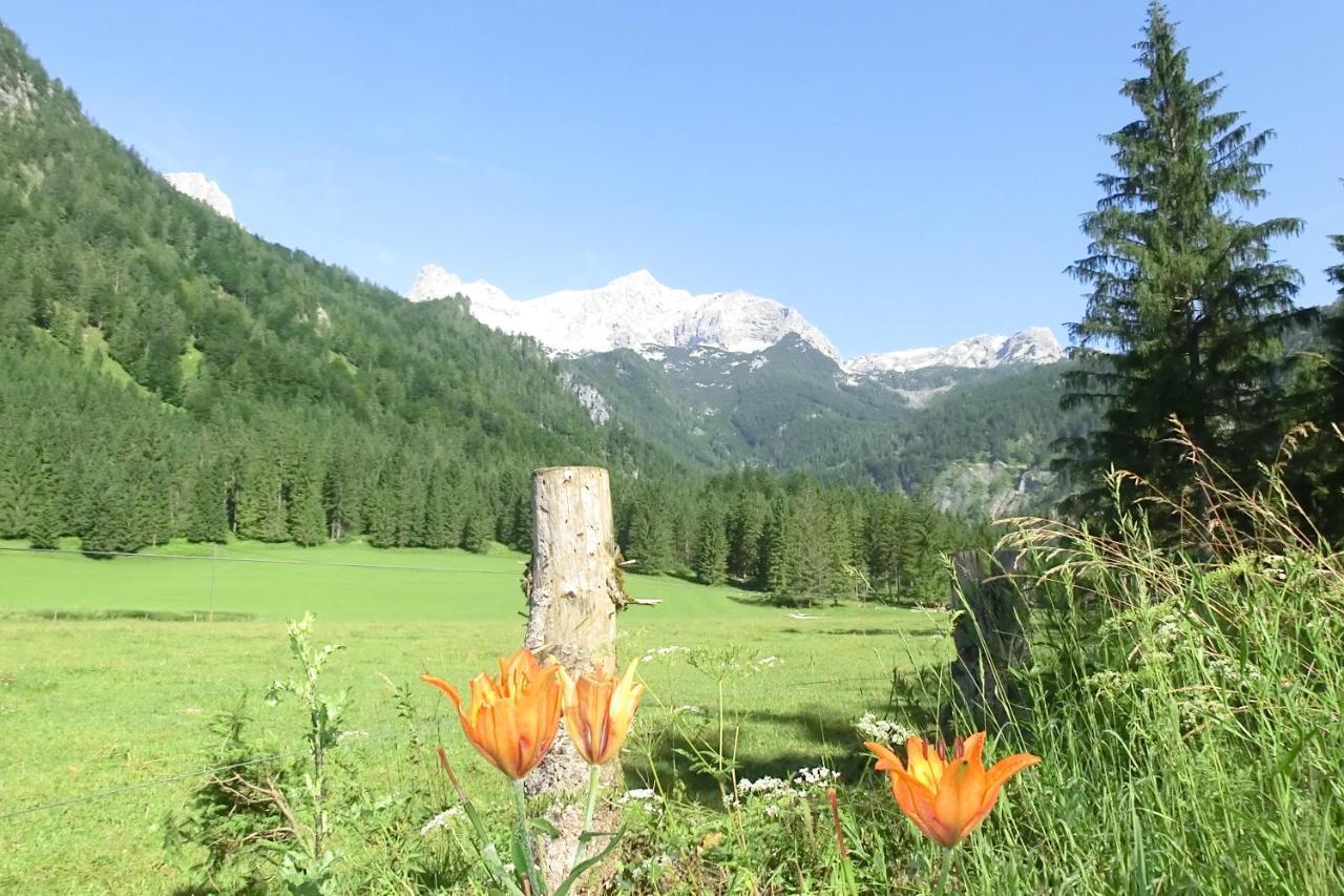 Hotel Garni Landhaus Buertlmair Hinterstoder Kültér fotó